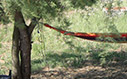 Fotos Villa Anna
